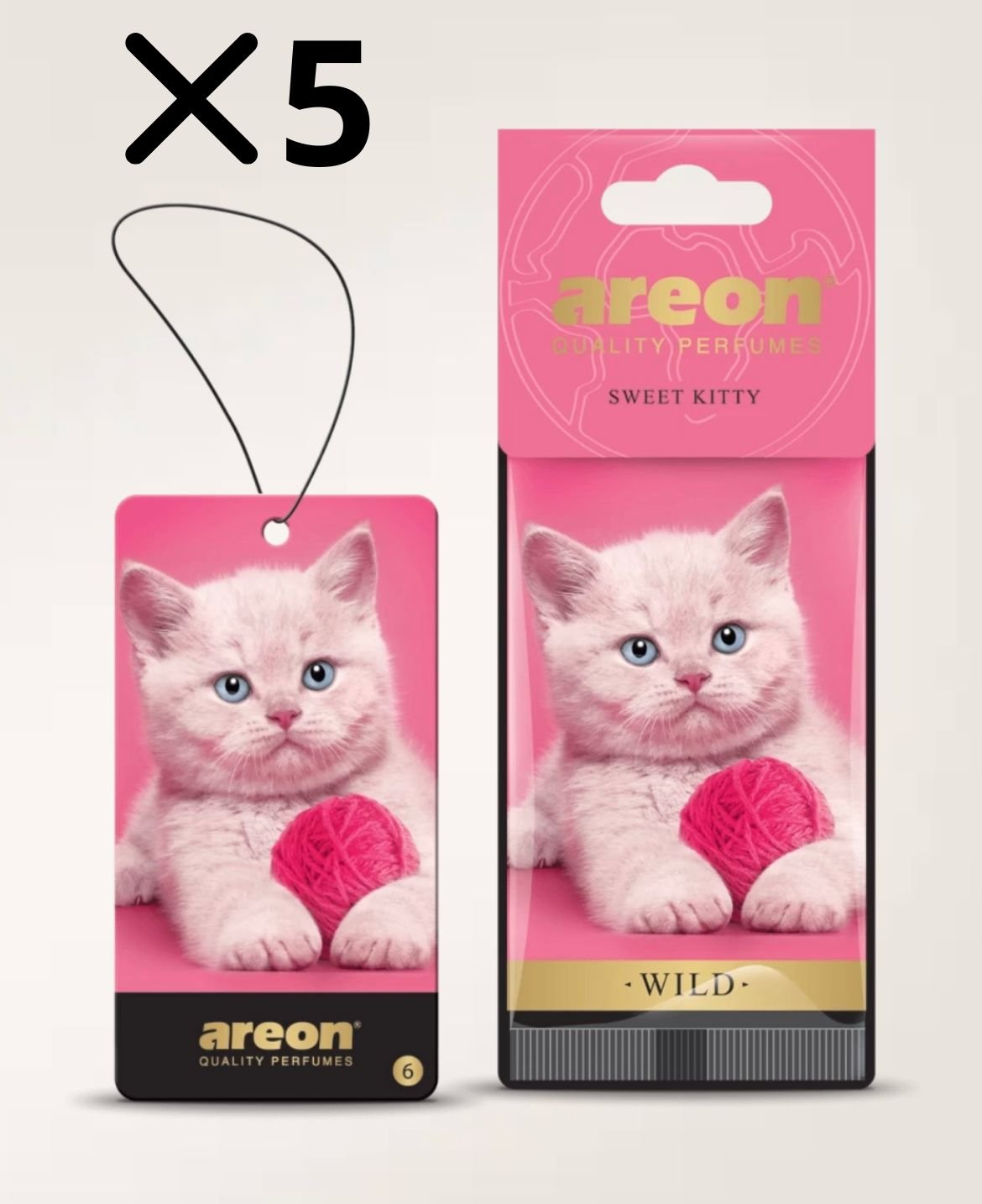 SWEET KITTY 5PCS G6